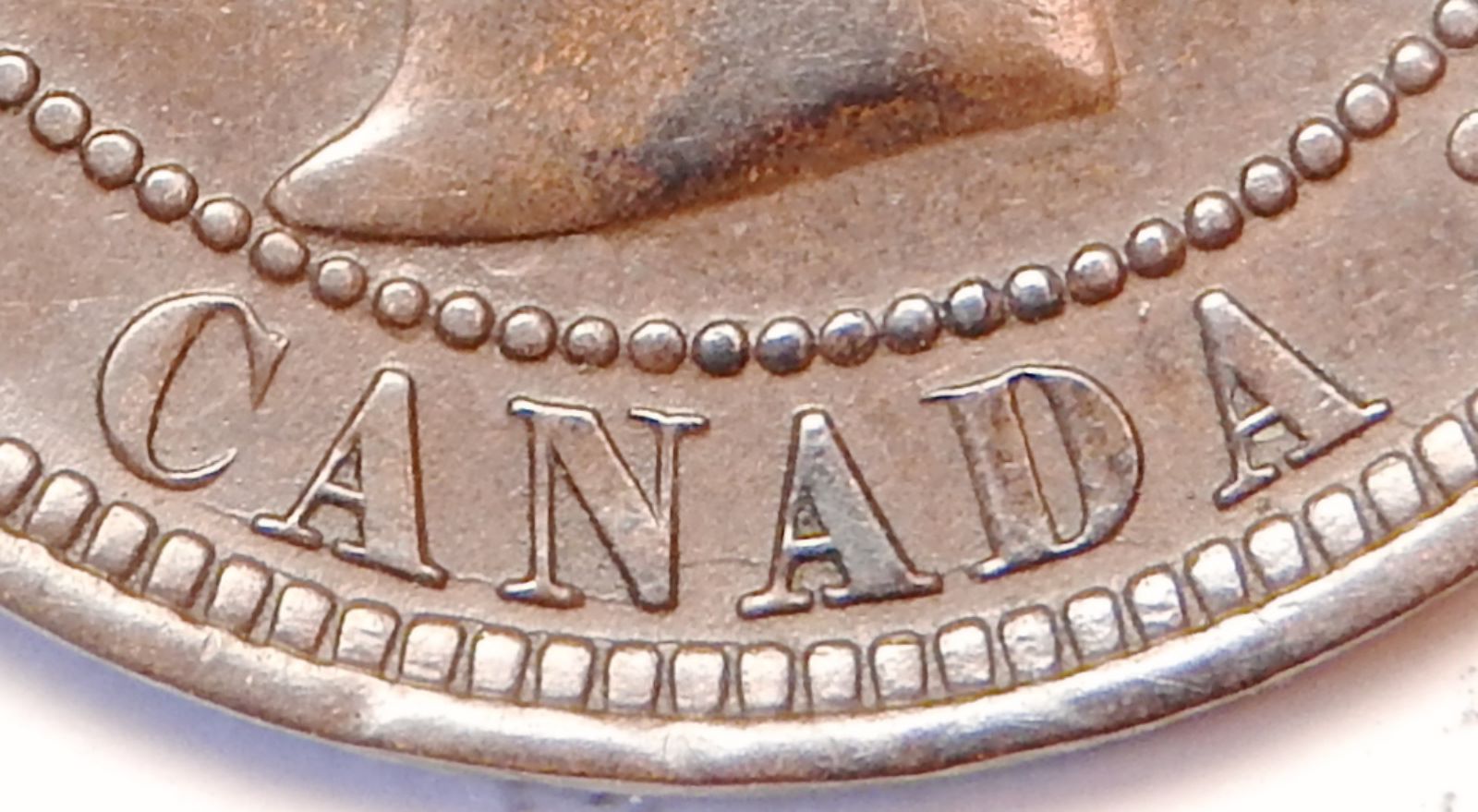 Please-Grade-This-1888-Large-Cent